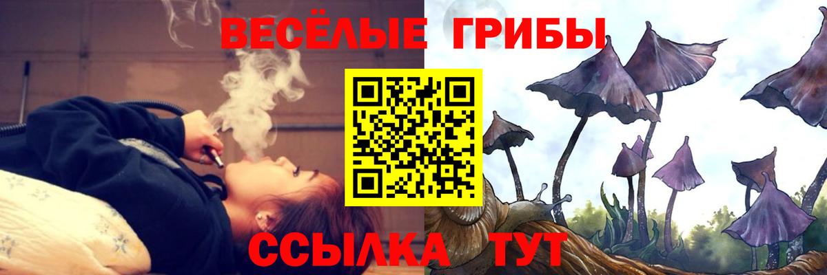 Назарово  Псилоцибиновые грибы Cubensis  Галлюциногенные грибы Psilocybine cubensis  Вход с VPN 